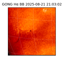 gong - 2025-08-21T21:03:02