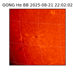 gong - 2025-08-21T22:02:02