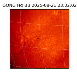 gong - 2025-08-21T23:02:02