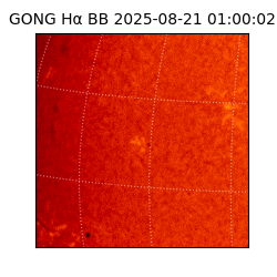 gong - 2025-08-21T01:00:02
