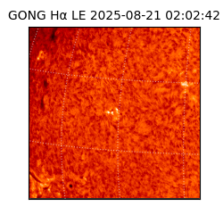gong - 2025-08-21T02:02:42