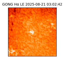 gong - 2025-08-21T03:02:42