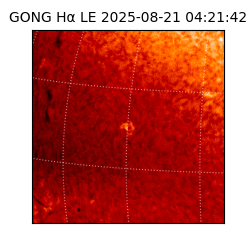 gong - 2025-08-21T04:21:42