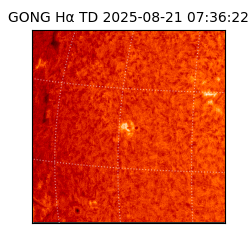gong - 2025-08-21T07:36:22