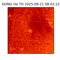 gong - 2025-08-21T08:02:22
