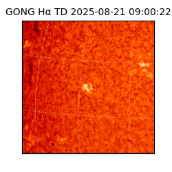 gong - 2025-08-21T09:00:22