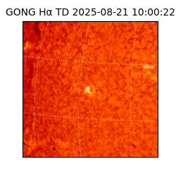 gong - 2025-08-21T10:00:22