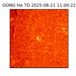 gong - 2025-08-21T11:00:22