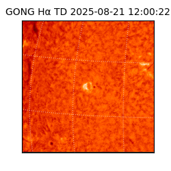 gong - 2025-08-21T12:00:22