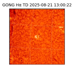 gong - 2025-08-21T13:00:22