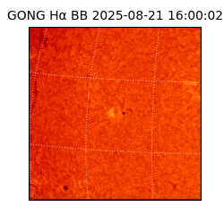 gong - 2025-08-21T16:00:02