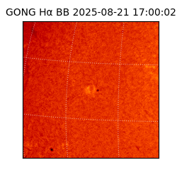 gong - 2025-08-21T17:00:02