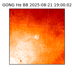 gong - 2025-08-21T19:00:02