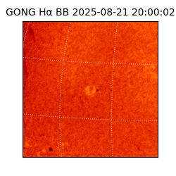 gong - 2025-08-21T20:00:02