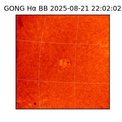 gong - 2025-08-21T22:02:02