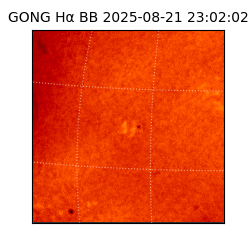 gong - 2025-08-21T23:02:02