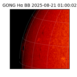 gong - 2025-08-21T01:00:02