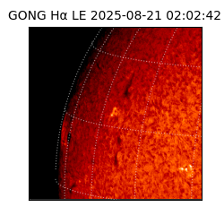 gong - 2025-08-21T02:02:42