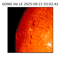 gong - 2025-08-21T03:02:42