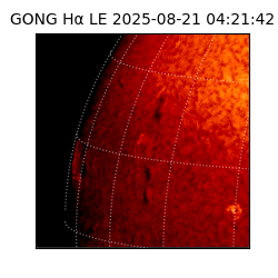gong - 2025-08-21T04:21:42