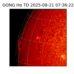 gong - 2025-08-21T07:36:22