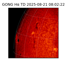 gong - 2025-08-21T08:02:22