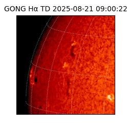 gong - 2025-08-21T09:00:22