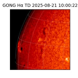 gong - 2025-08-21T10:00:22