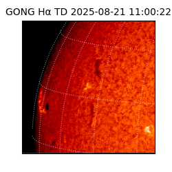 gong - 2025-08-21T11:00:22