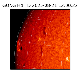 gong - 2025-08-21T12:00:22
