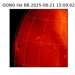 gong - 2025-08-21T15:09:02