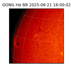 gong - 2025-08-21T16:00:02