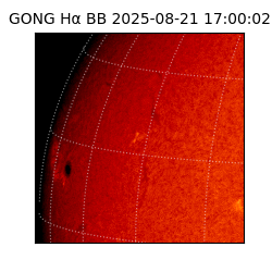gong - 2025-08-21T17:00:02