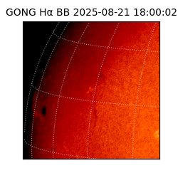 gong - 2025-08-21T18:00:02