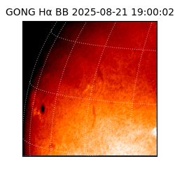 gong - 2025-08-21T19:00:02