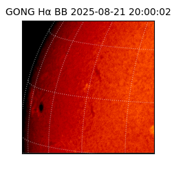 gong - 2025-08-21T20:00:02