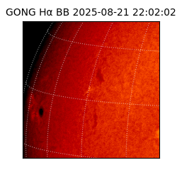 gong - 2025-08-21T22:02:02