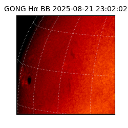 gong - 2025-08-21T23:02:02