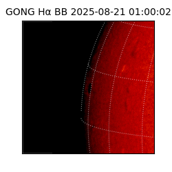 gong - 2025-08-21T01:00:02