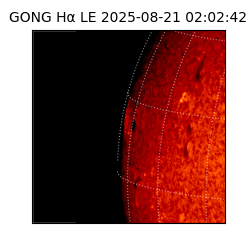gong - 2025-08-21T02:02:42