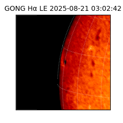 gong - 2025-08-21T03:02:42