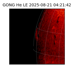 gong - 2025-08-21T04:21:42