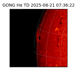 gong - 2025-08-21T07:36:22