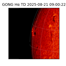 gong - 2025-08-21T09:00:22