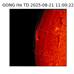 gong - 2025-08-21T11:00:22