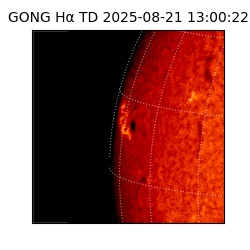 gong - 2025-08-21T13:00:22