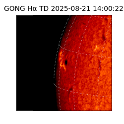 gong - 2025-08-21T14:00:22