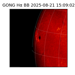 gong - 2025-08-21T15:09:02