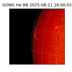 gong - 2025-08-21T16:00:02