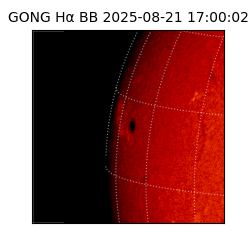 gong - 2025-08-21T17:00:02